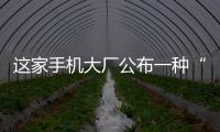 這家手機大廠公布一種“柔性電路板及電子設備”專利