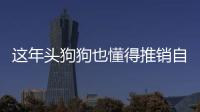 這年頭狗狗也懂得推銷自己了！