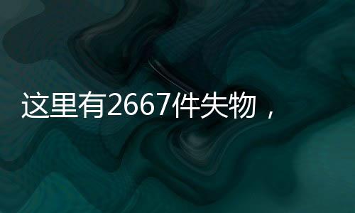 這里有2667件失物，是你的嗎？