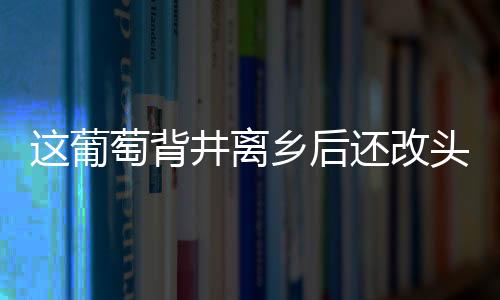 這葡萄背井離鄉后還改頭換面