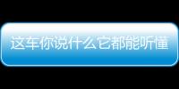 這車你說什么它都能聽懂！試駕全新瑞虎5x