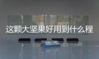 這顆大堅果好用到什么程度呢一次次被寶媽們催著上的程度