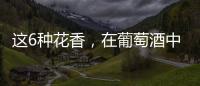這6種花香，在葡萄酒中也能找到