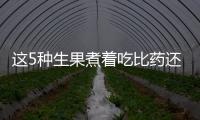 這5種生果煮著吃比藥還好用潤肺驅寒止咳值得保藏