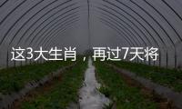 這3大生肖，再過7天將迎來人生大逆轉(zhuǎn)，必定腰纏萬貫
