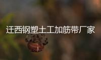 遷西鋼塑土工加筋帶廠家采購供應
