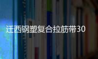 遷西鋼塑復合拉筋帶30020B廠家