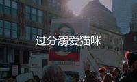 過分溺愛貓咪
