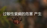 過敏性紫癜的危害 產生過敏性紫癜的原因