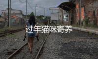 過年貓咪寄養(yǎng)
