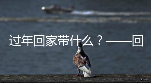 過年回家帶什么？——回家就送美菱集成灶