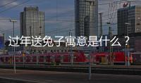 過年送兔子寓意是什么？ 兔子進家門寓意