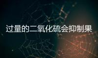 過(guò)量的二氧化硫會(huì)抑制果香