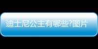 迪士尼公主有哪些?圖片（迪士尼公主有哪些）