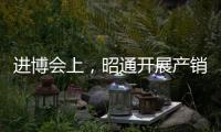 進博會上，昭通開展產銷對接工作