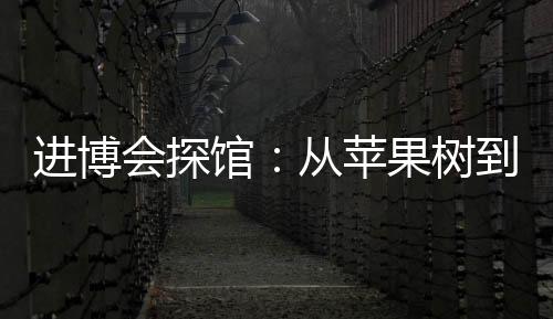 進博會探館：從蘋果樹到無人機，本屆進博會主賓國帶來什么？