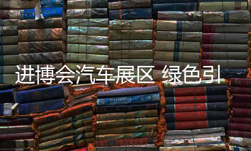 進博會汽車展區 綠色引領移動出行