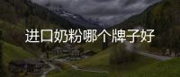 進(jìn)口奶粉哪個(gè)牌子好