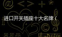進口開關插座十大名牌（進口開關）