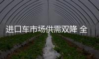 進口車市場供需雙降 全年市場規模110萬輛