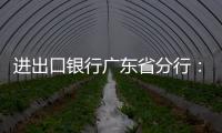 進出口銀行廣東省分行：推動鞏固外貿外資基本盤，助力制造業做優做強