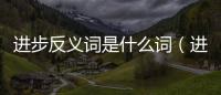 進步反義詞是什么詞（進步反義詞）