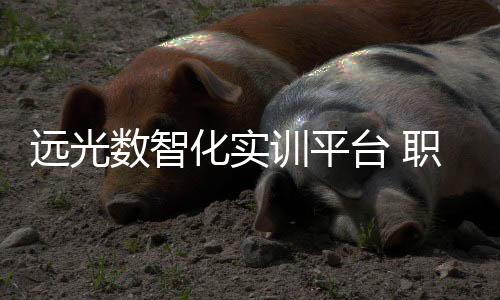 遠光數智化實訓平臺 職業賽場晉級就靠它