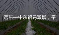 遠東—中東貿易激增，帶動船公司推出新服務