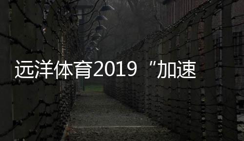 遠洋體育2019“加速跑” 實現新一輪彎道超越