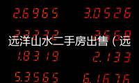遠(yuǎn)洋山水二手房出售（遠(yuǎn)洋山水二手房）