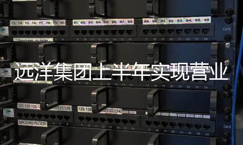 遠洋集團上半年實現(xiàn)營業(yè)額234.1億元,同比升14%