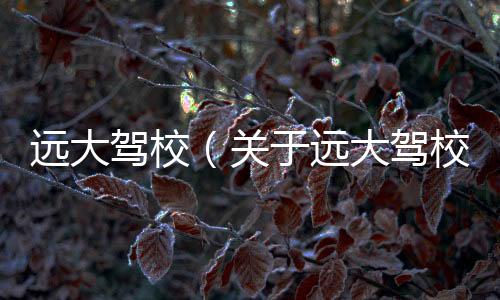 遠大駕校（關于遠大駕校的基本情況說明介紹）