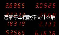 違章停車罰款不交什么后果（違章停車罰款不交）