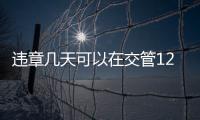 違章幾天可以在交管12123查到（違章幾天能查到）