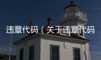 違章代碼（關(guān)于違章代碼的基本情況說明介紹）