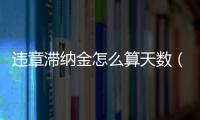 違章滯納金怎么算天數（違章滯納金怎么算）