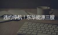 違約停航！東華能源三艘VLOC與船東打官司