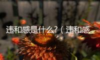 違和感是什么?（違和感是啥意思）
