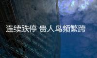 連續跌停 貴人鳥頻繁跨界隱患凸顯