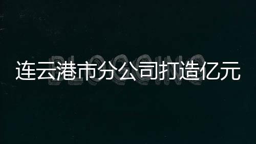 連云港市分公司打造億元規模醫藥物流服務