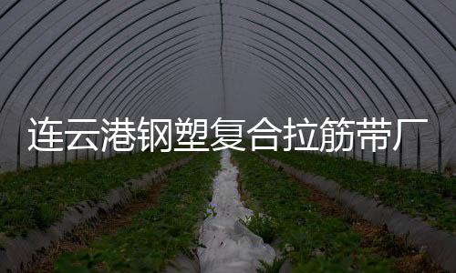 連云港鋼塑復(fù)合拉筋帶廠家采購供應(yīng)