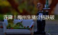 連降！梅州生豬價格跌破雙位數，你家樓下“三及第”有便宜嗎？