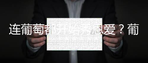 連葡萄都開始秀恩愛？葡萄酒界經典CP大盤點