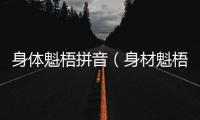 身體魁梧拼音（身材魁梧的拼音）