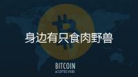 身邊有只食肉野獸
