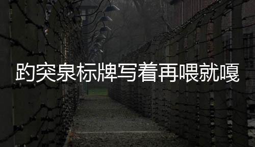 趵突泉標牌寫著再喂就嘎了 保安：“不要喂魚不要犯罪”