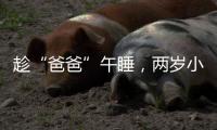 趁“爸爸”午睡，兩歲小女孩獨自外出玩耍幸遇好心人報警