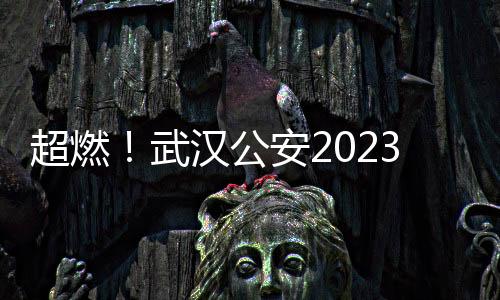 超燃！武漢公安2023年警體運動會開幕