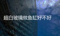 超白玻璃做魚缸好不好 魚缸缸底不平會炸缸嗎 ,行業資訊