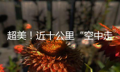 超美！近十公里“空中走廊”真容首次曝光！將再次刷新海寧顏值